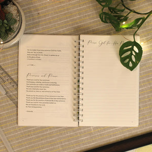 Journals : Set of 3 (Nature)