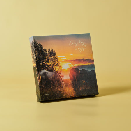 Framed Canvas : Every day is a gift