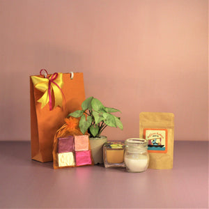 Mini Festive Hamper in a Bag (This product contains a plant, hence AVAILABLE FOR DELIVERY IN BANGALORE ONLY)