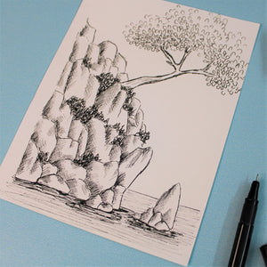 Pen and Ink Masterclass: Rock-scape (Personal Session)