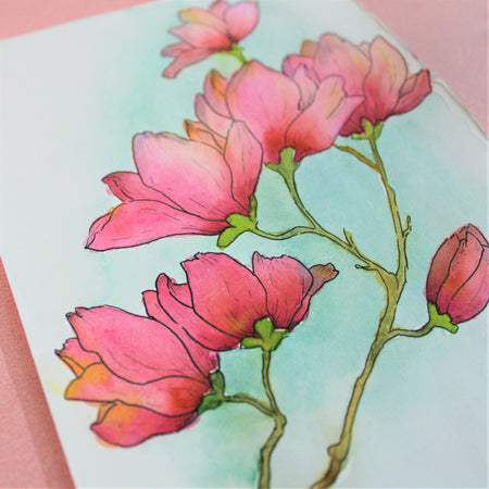 Pen and Colour Masterclass: Magnolia (Personal Session)